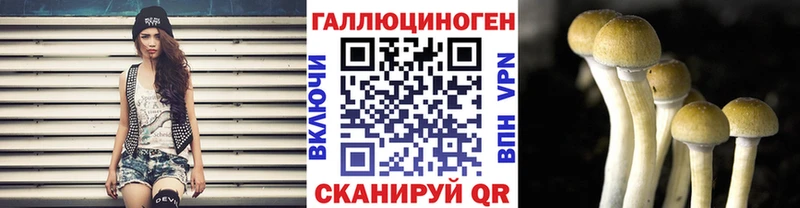 omg   Короча  Псилоцибиновые грибы MAGIC MUSHROOMS 